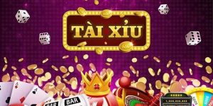 tài xỉu nhà cái xin88